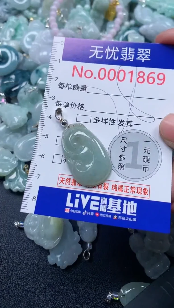颈饰未镶嵌翡翠1869