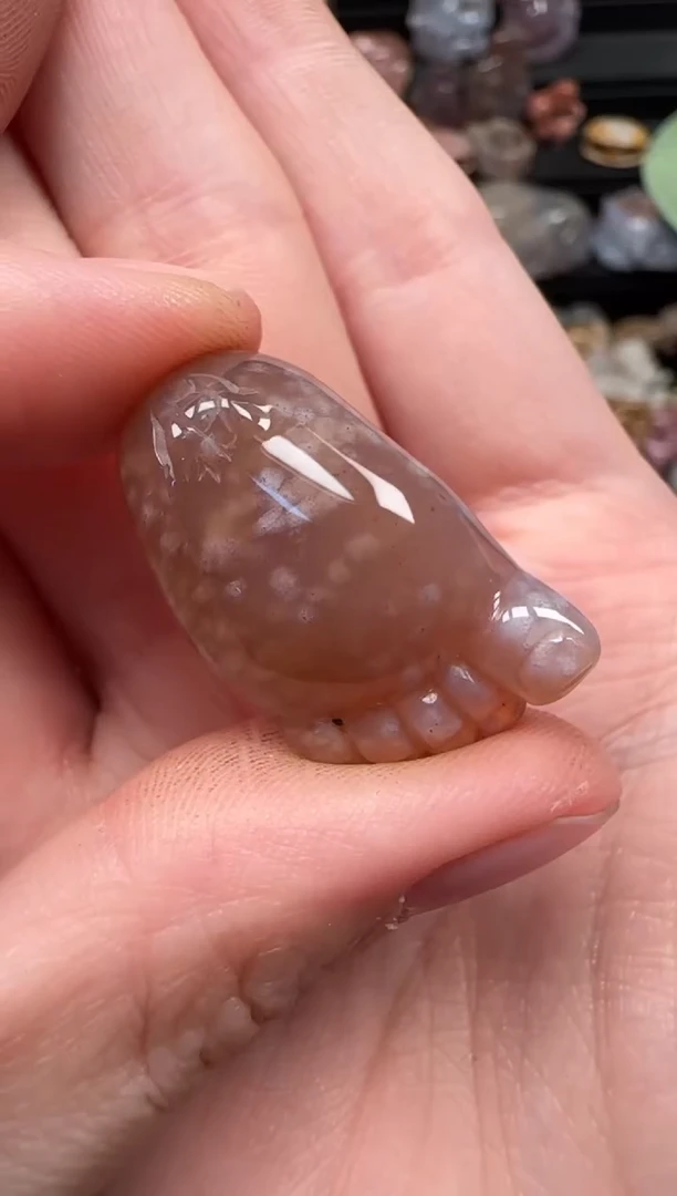 颈饰未镶嵌硅化珊瑚（珊瑚玉）187