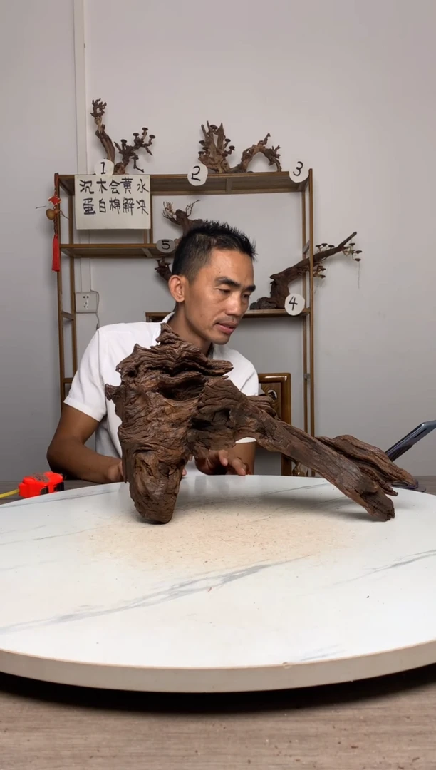 天****?鱼缸造景沉木摆件