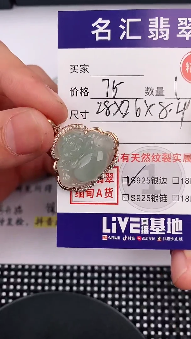 翡翠银S925镶嵌颈饰·