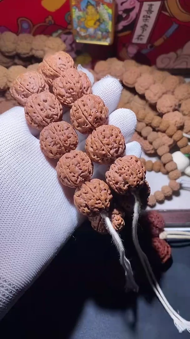 【闪购商品】金刚菩提手串高桩粗筋双龙23