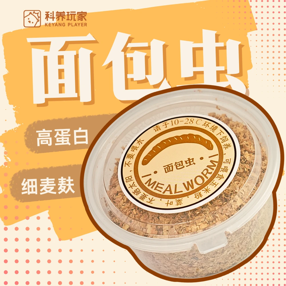 面包虫 黄粉虫幼虫 跳蛛 蜘蛛饲料