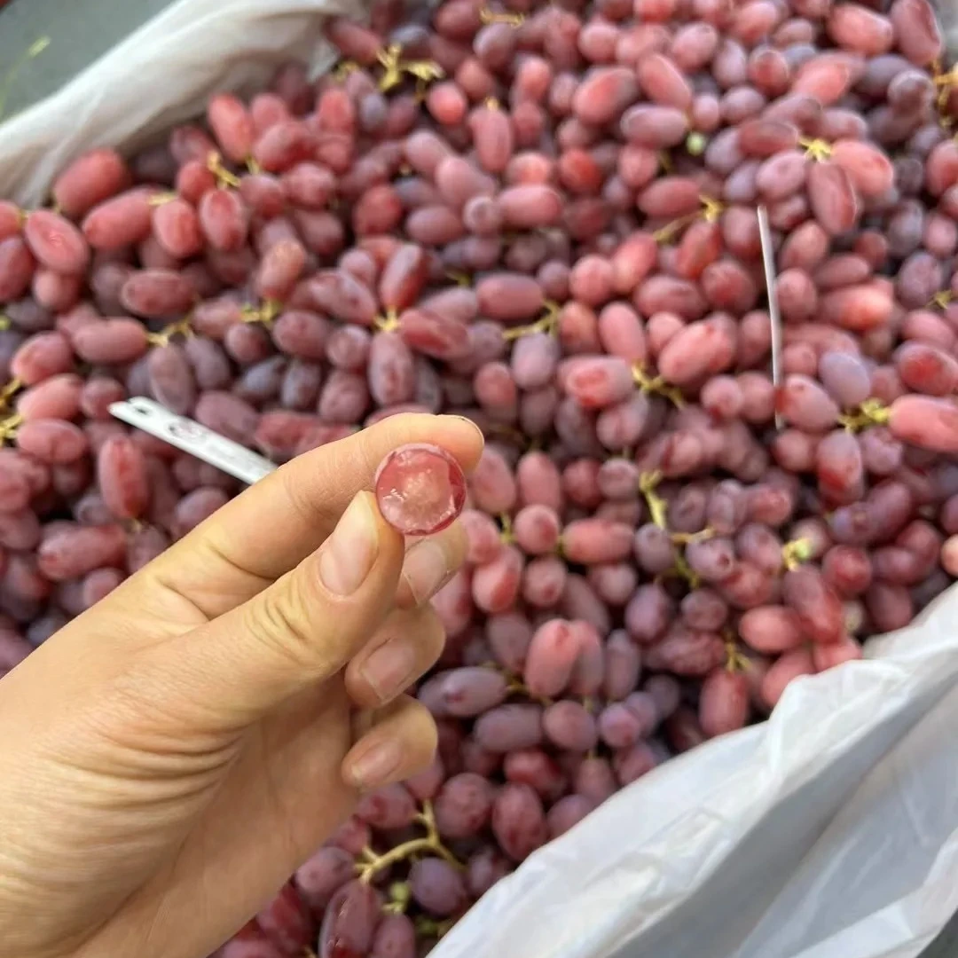 进口无籽红提一斤装！（微软甜度高，介意勿拍）