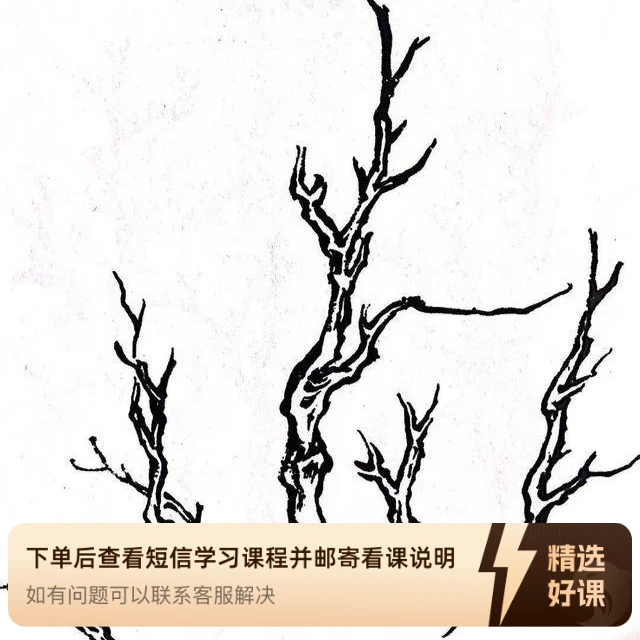 【墨蝉芥子园·画树起手】苹果系统（留意短信解锁课程）