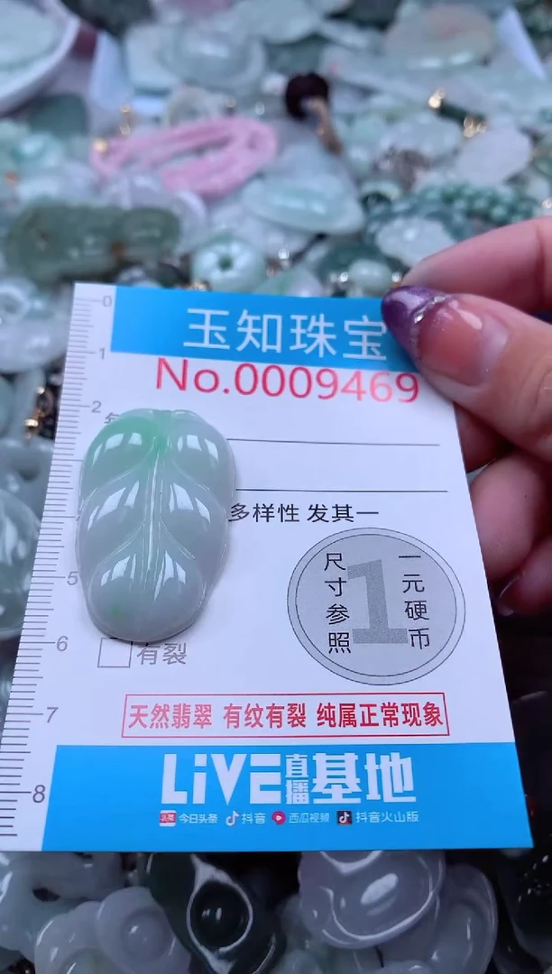 翡翠未镶嵌吊坠(不含链)9469