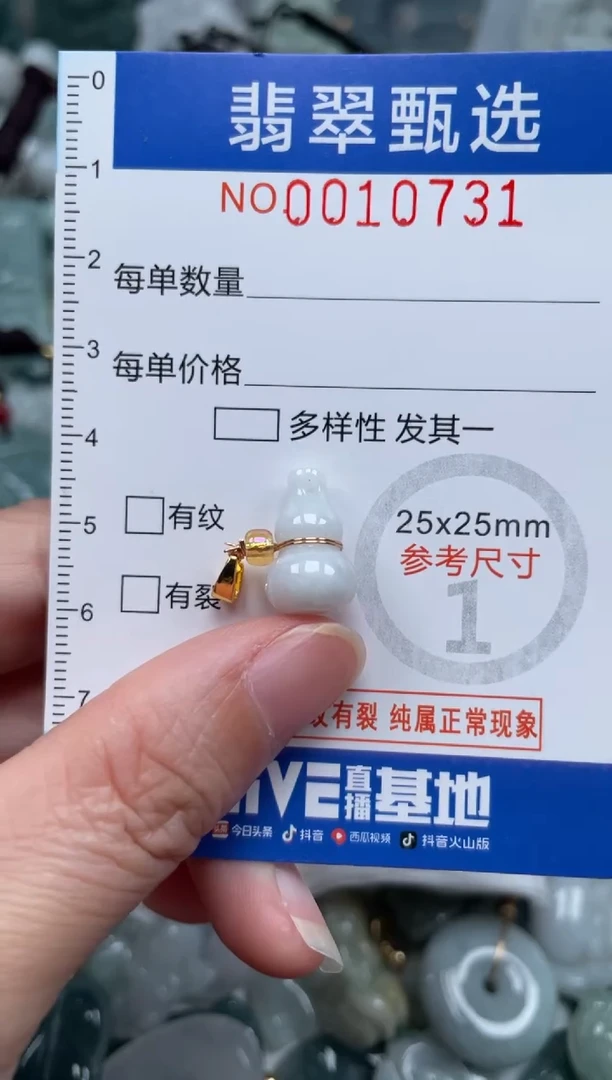 颈饰未镶嵌翡翠10731