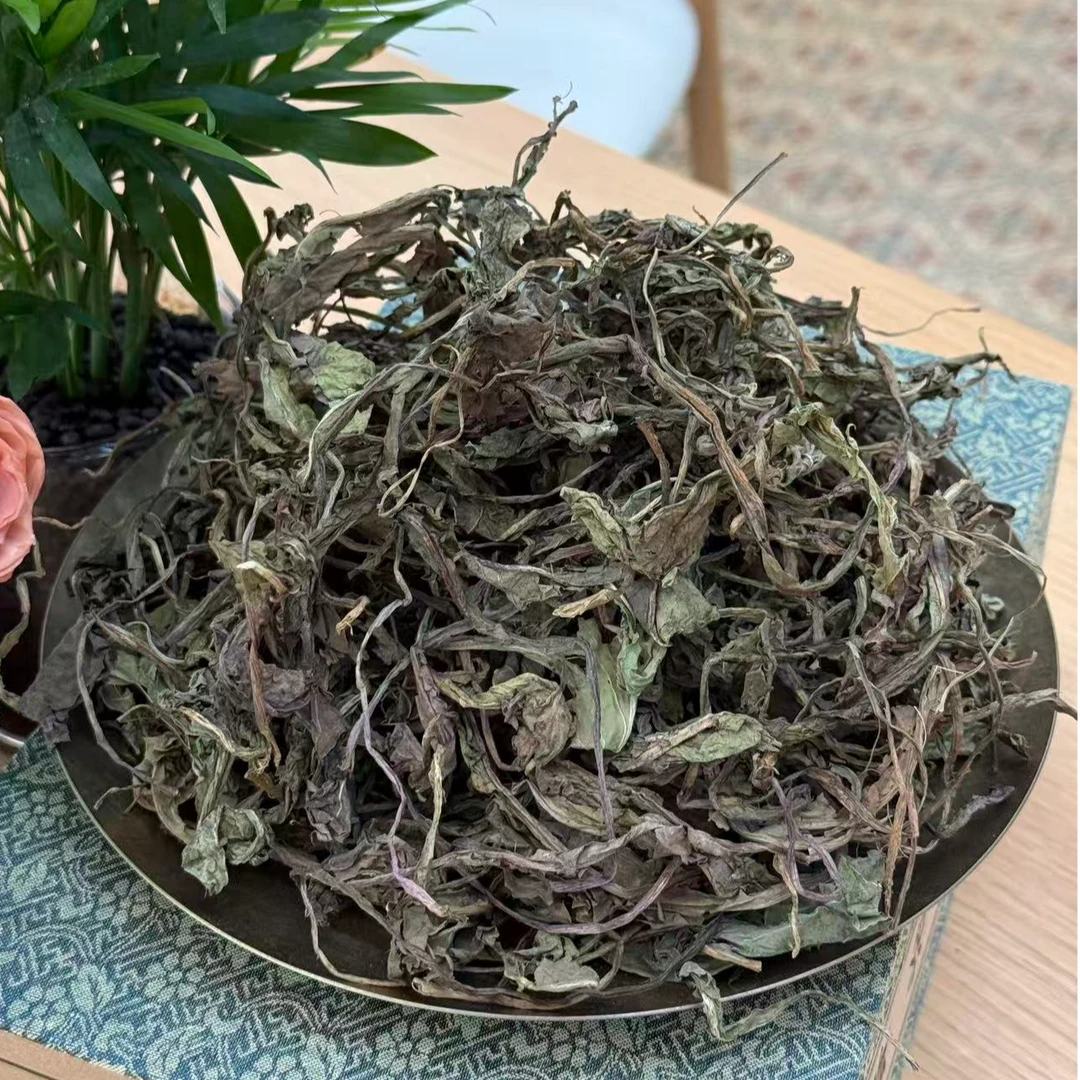 自然之道 --【蒲公英】