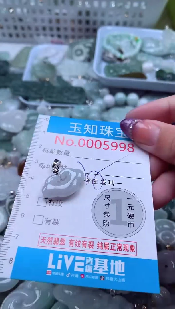 翡翠未镶嵌吊坠(不含链)5998