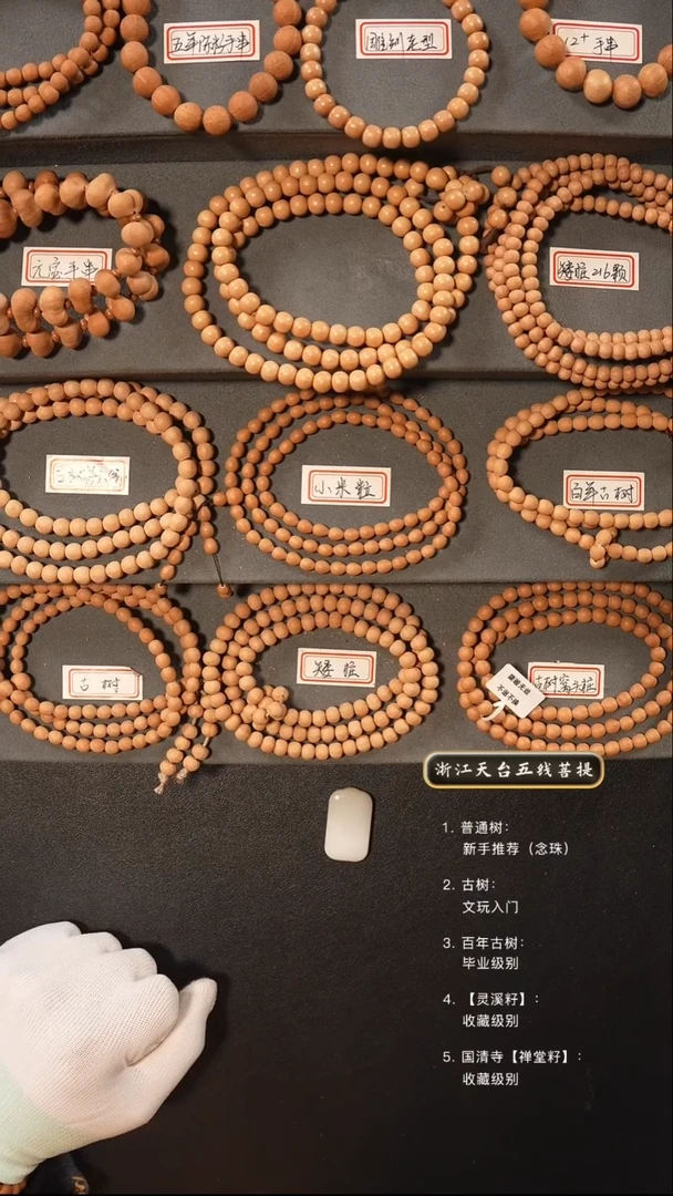 【闪购商品】五线菩提吊坠手串