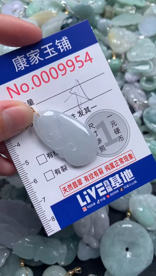 颈饰未镶嵌翡翠9954