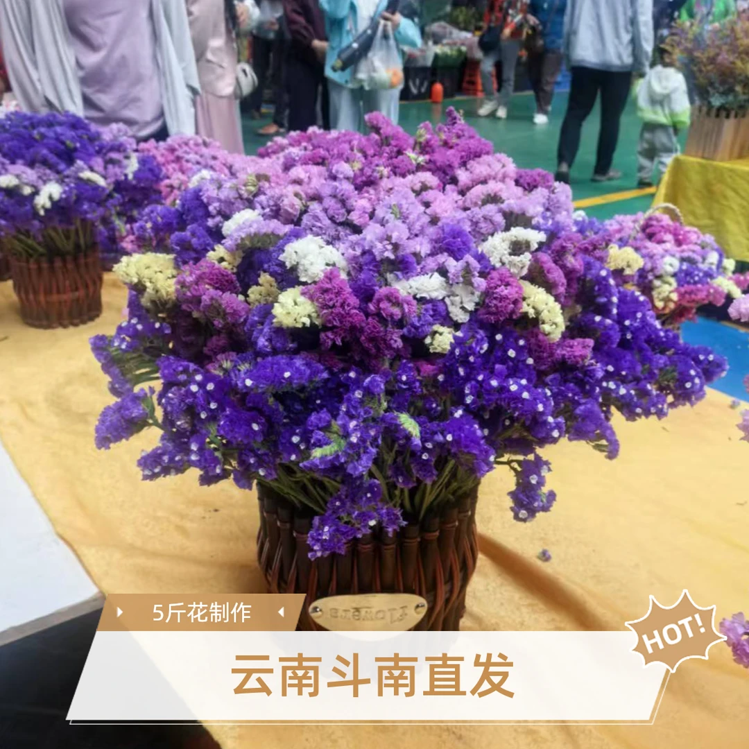 云南基地直发勿忘我干花花束家居摆件