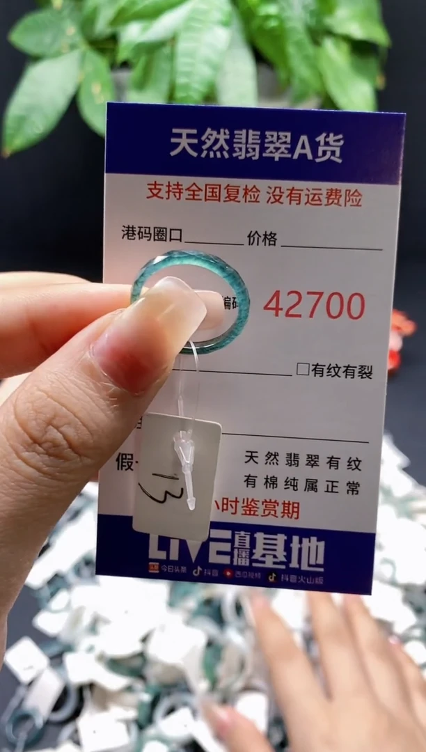 翡翠戒指未镶嵌天然翡翠戒圈2700