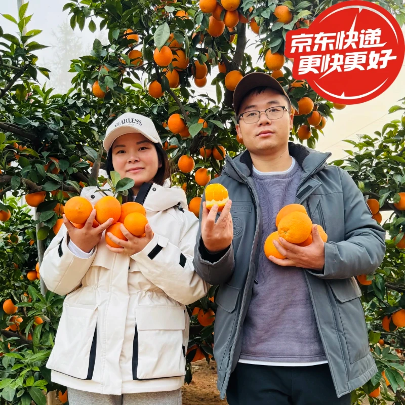 【珊姐推荐】江西赣南脐橙 酸甜可口 （京东包邮）应季新鲜水果橙子