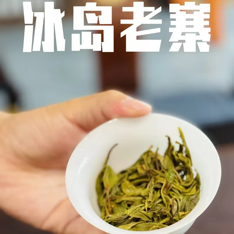 2023年（冰岛老寨)一直喝一直甜 普洱生茶头春茶散茶