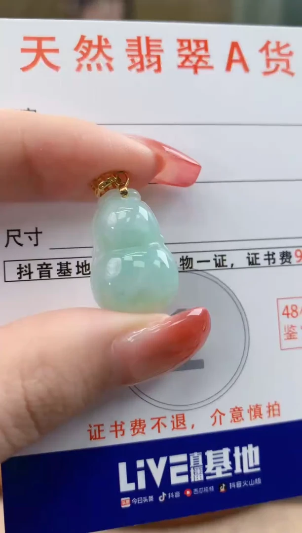 颈饰未镶嵌翡翠天然A货翡翠挂件