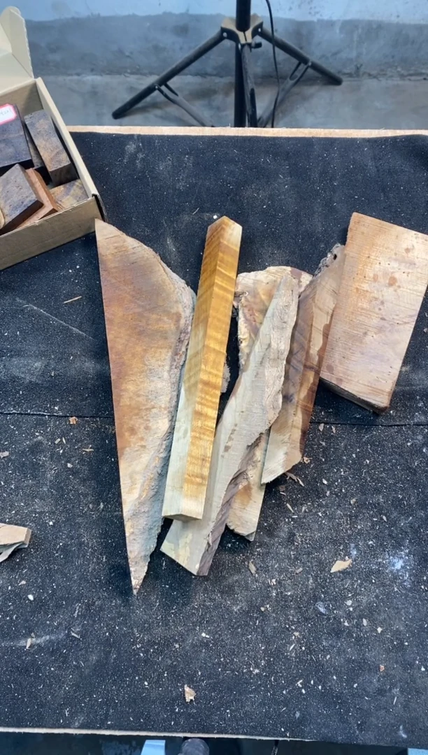 C****陳金丝楠小叶桢楠1