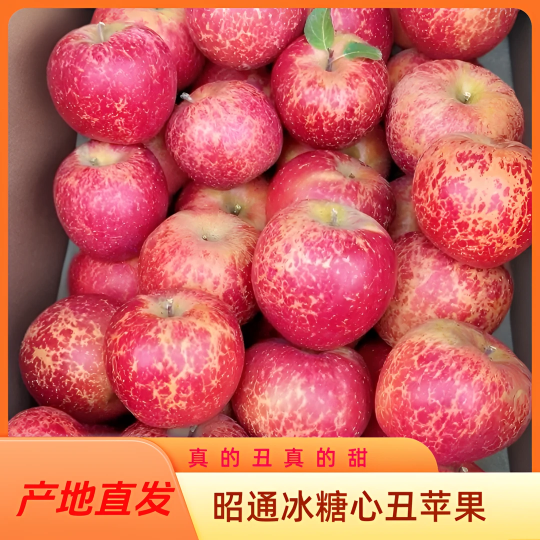 正宗云南昭通农家高山种植新鲜水果红富士丑苹果甜脆多汁整箱包邮