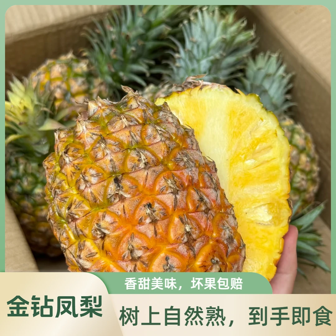 树上熟正宗海南金钻凤梨17号香甜水果多汁新鲜采摘产地直发包赔TT
