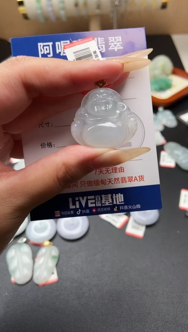 翡翠未镶嵌颈饰325