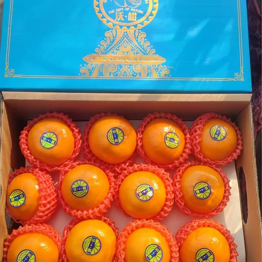 广西武鸣沃柑1箱24个果优质农产品水果