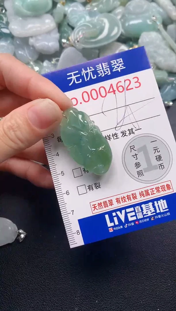 吊坠(不含链)未镶嵌翡翠4623