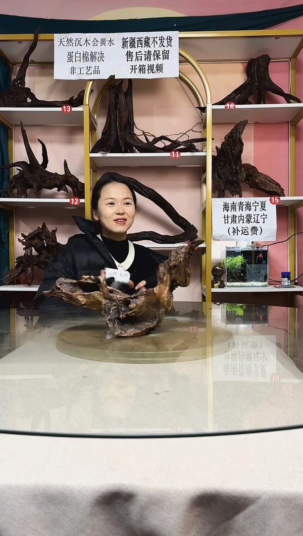 U****y鱼缸造景沉木A874