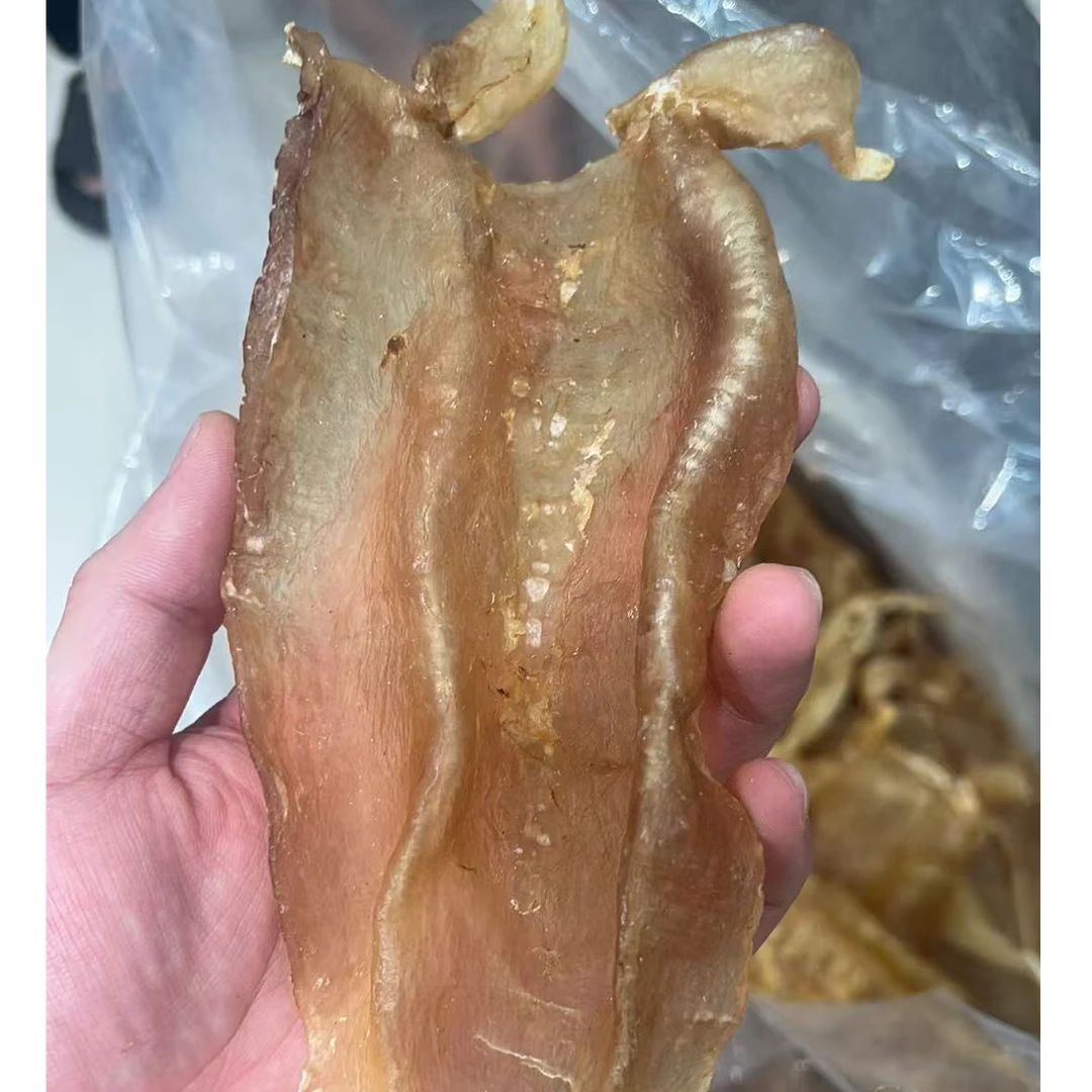 速鲜汇6头大耳金钱鱼胶渔民货250g
