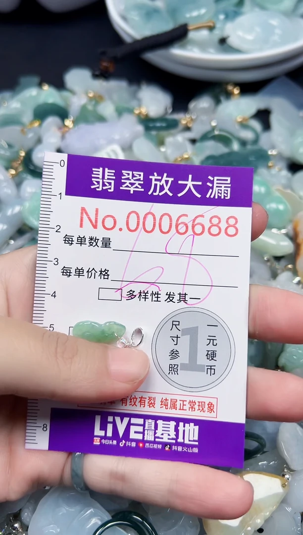 颈饰未镶嵌翡翠6688