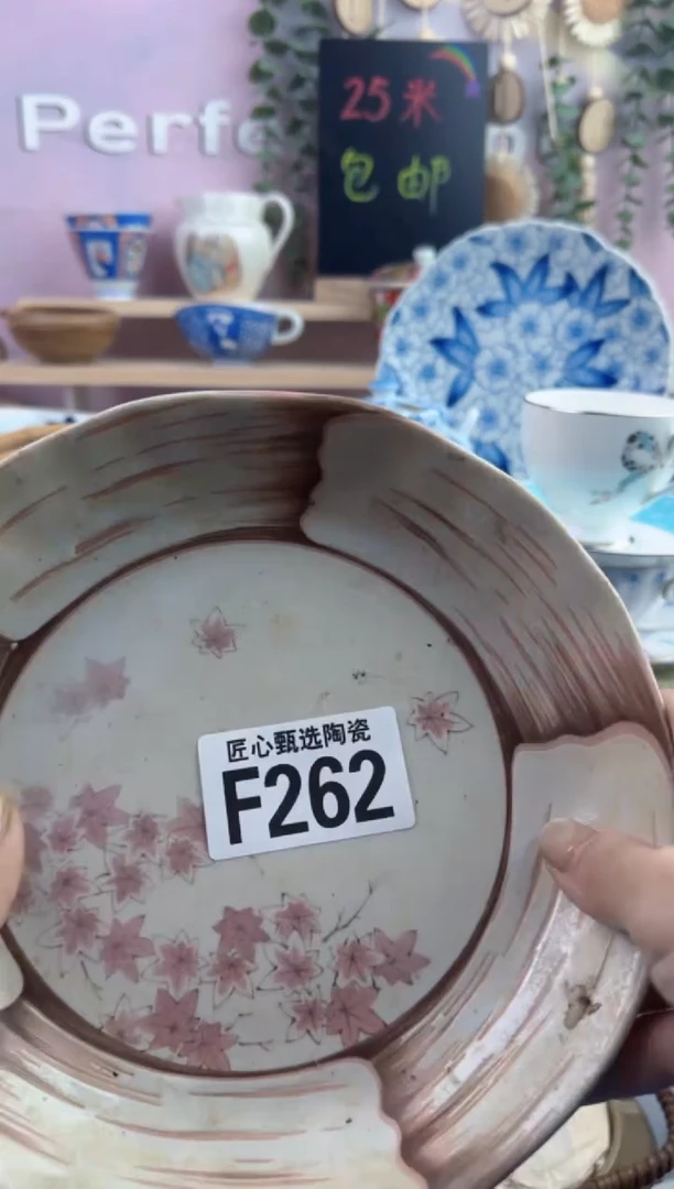 瓷片用****6         F262