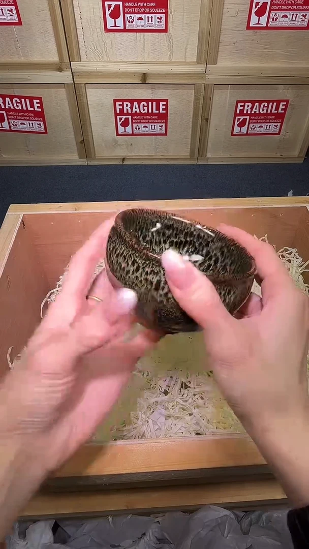 茶盏茶盏主人杯万彩鹧鸪将军