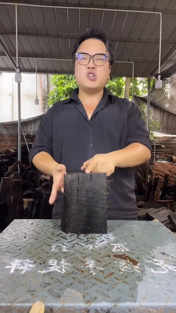 金丝楠小叶桢楠184