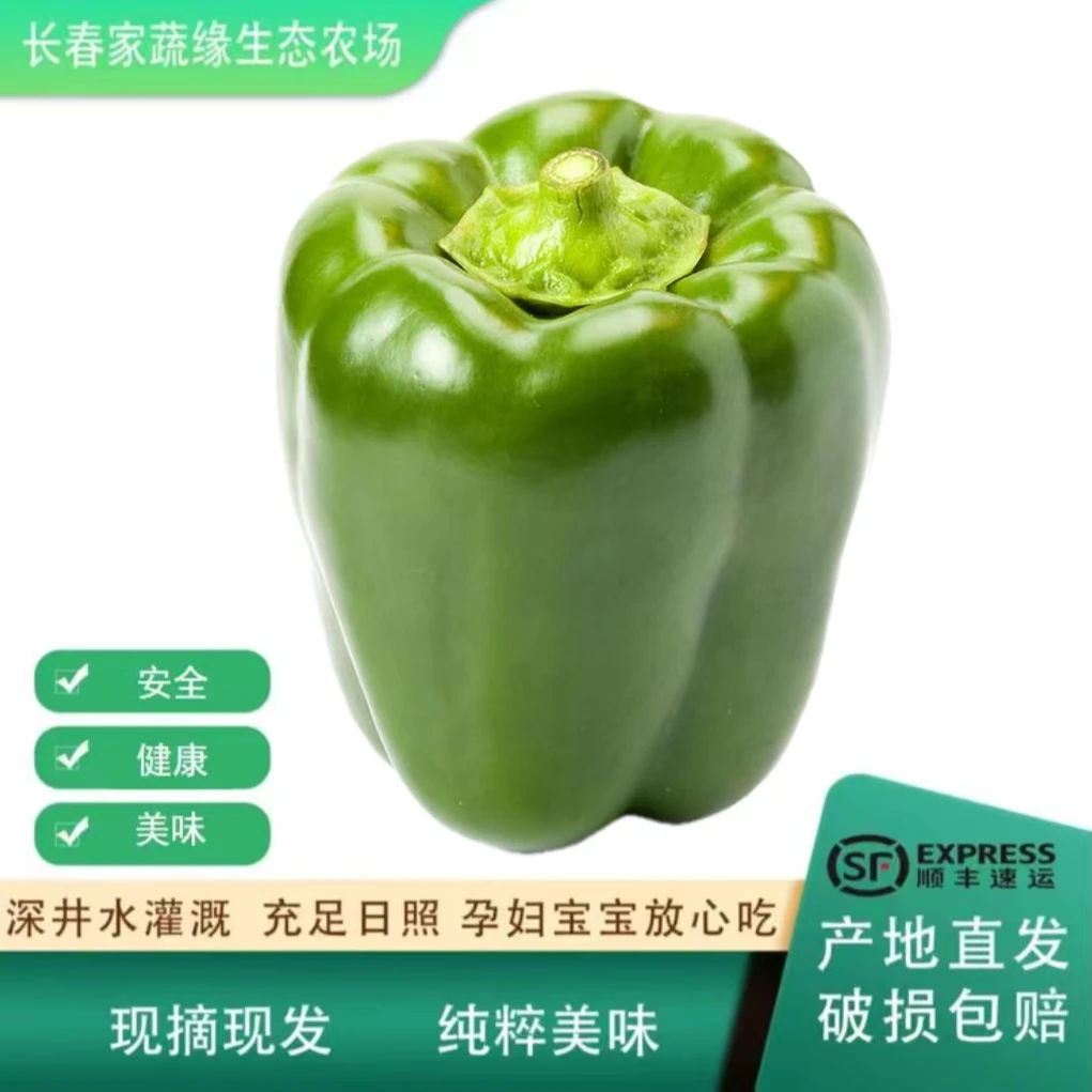 青椒，自然生长自然成熟现摘现发，基地直发顺丰包邮