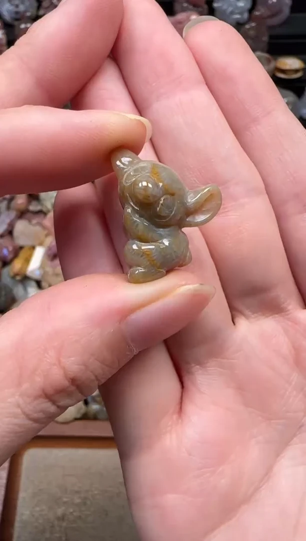 颈饰未镶嵌硅化珊瑚（珊瑚玉）039
