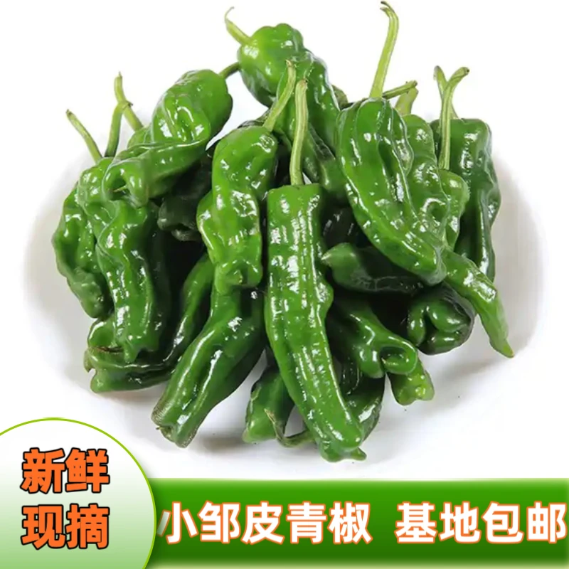 【特辣】正宗爆辣小皱皮辣椒当季新鲜薄皮青辣椒特辣产地批发包邮
