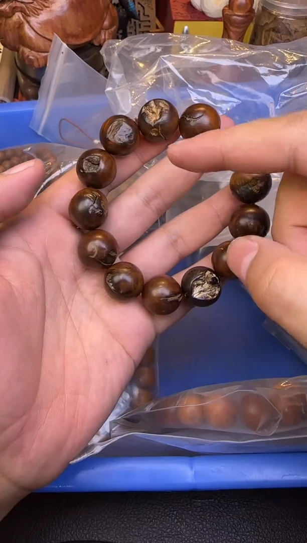 木枣木雷痕1.8多样性发其一