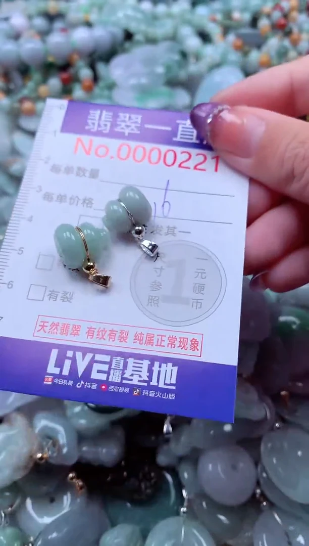 翡翠未镶嵌吊坠(不含链)221