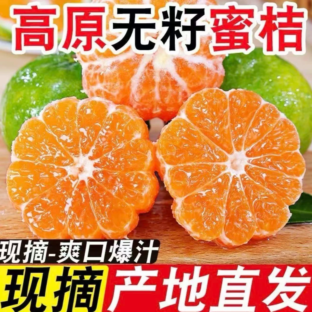 【产地直发】湖北无籽柑橘青皮桔新鲜现摘当季应季水果坏果包赔
