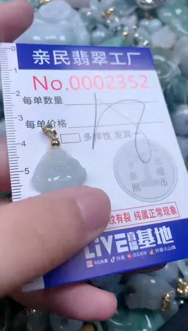 翡翠未镶嵌吊坠(不含链)2352