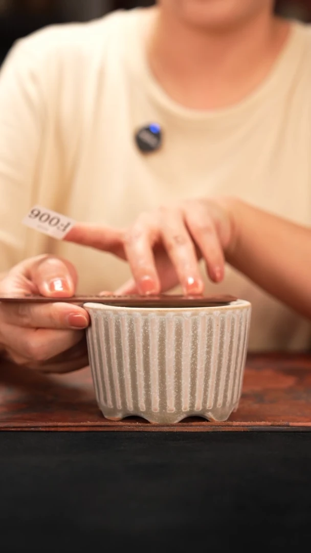 7-15-006花盆口径