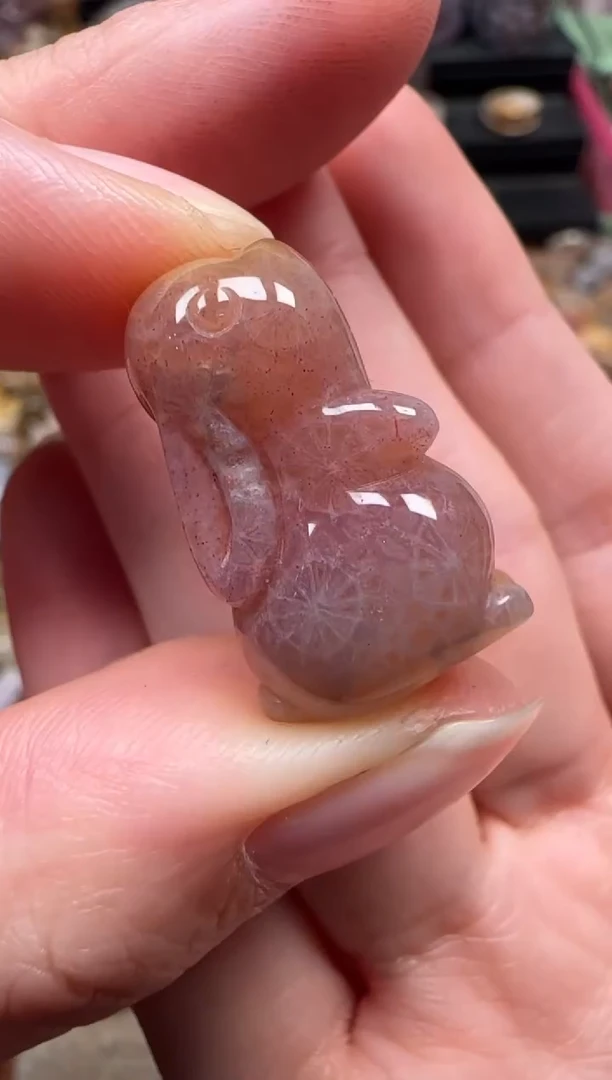 颈饰未镶嵌硅化珊瑚（珊瑚玉）892