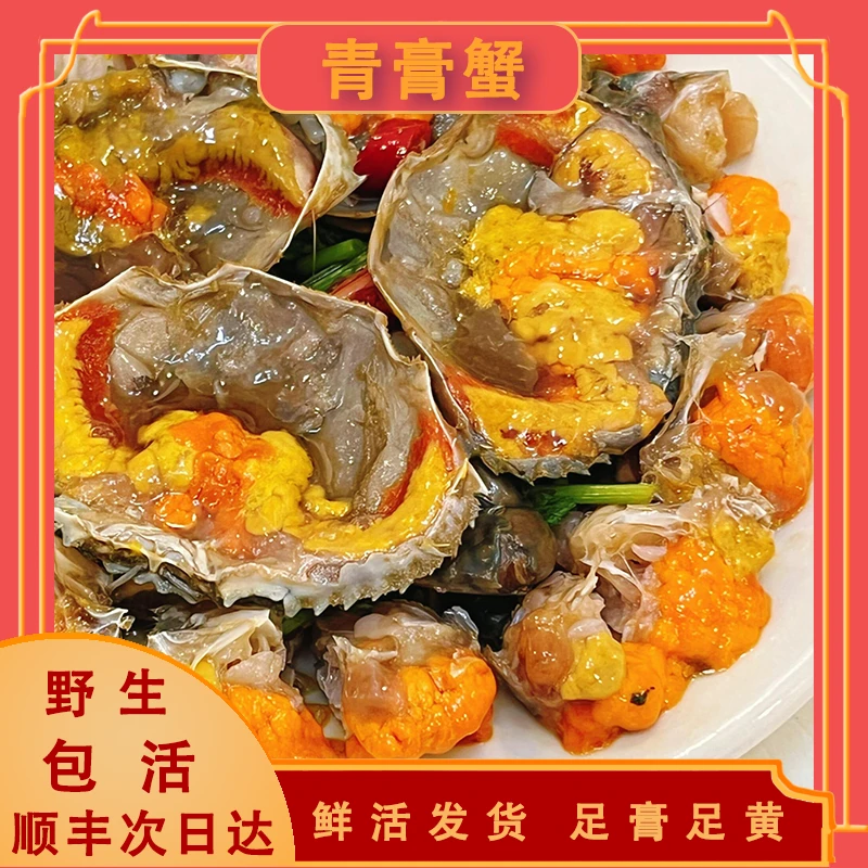【包活】阴凉处存放/不要放冰箱/凭开箱视频享受包活售后/全母青膏蟹海蟹红膏蟹100-150g/只/杭州发货/次日达