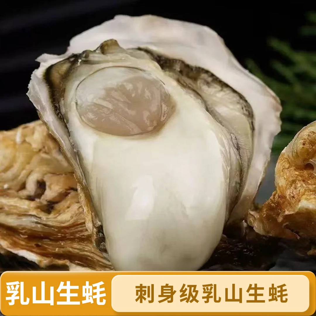【正宗乳山生蚝】5斤10斤3-4两 4-6两包鲜包活肥美鲜甜蒜蓉蒸刺身级