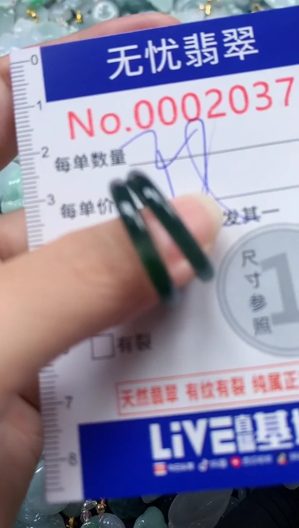 颈饰未镶嵌翡翠2037