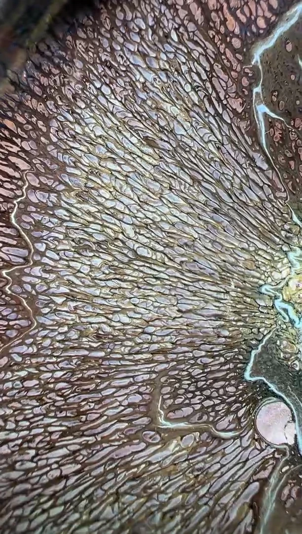 茶盏古法精选柴烧330