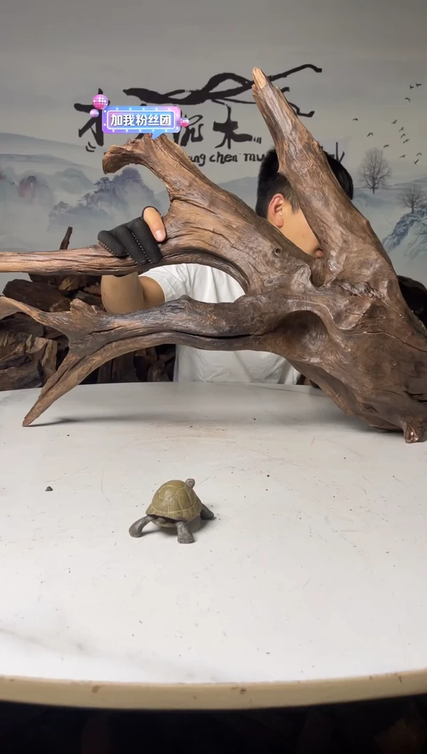 a315木光沉木木光沉木315/315