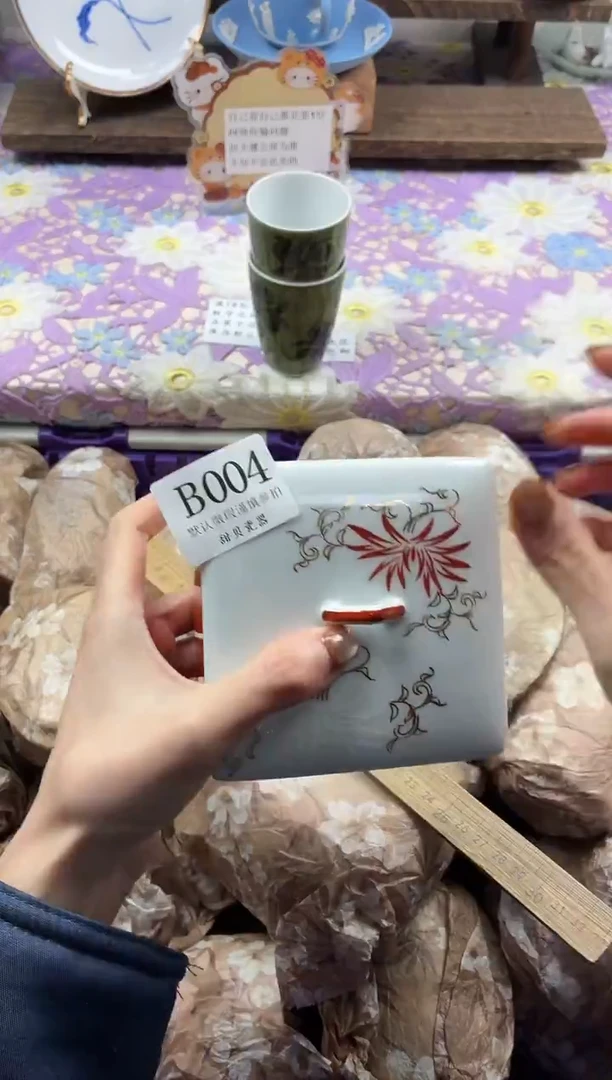 瓷片雨****）                B004