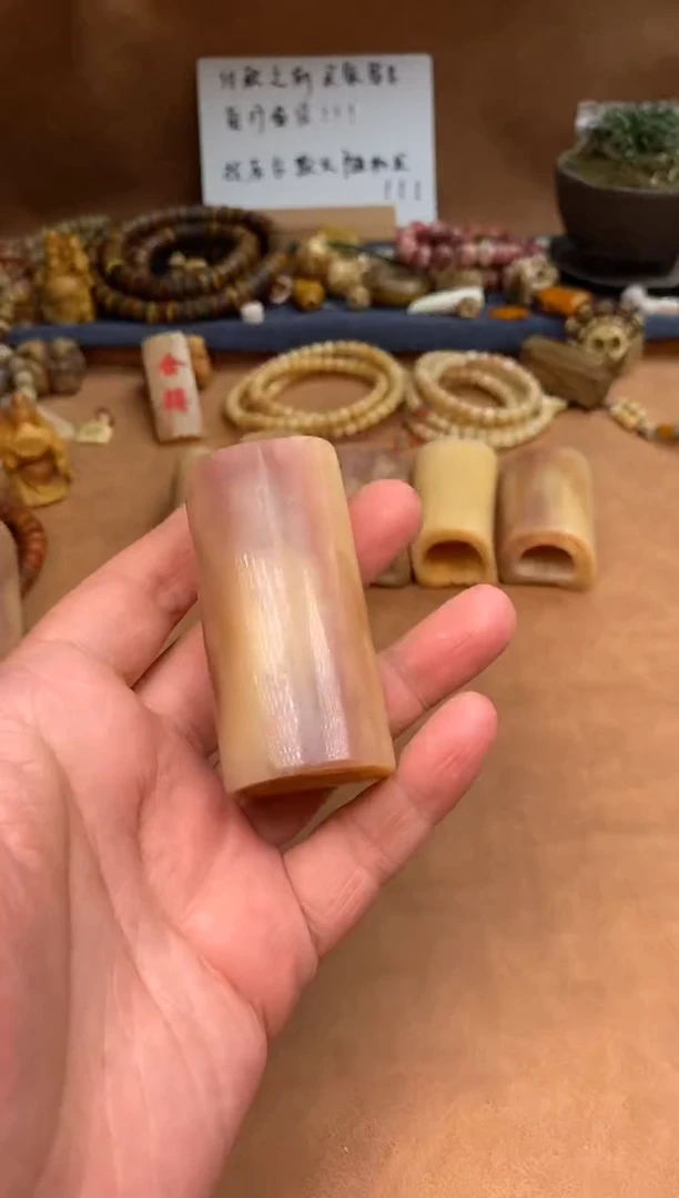 【闪购商品】驼骨其他驼骨定向V355