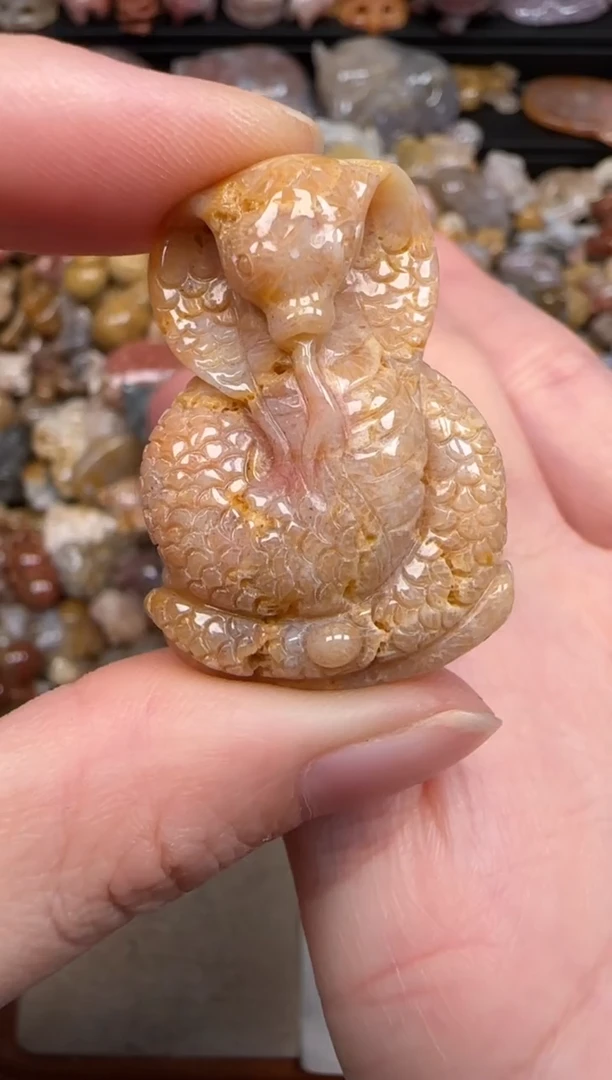 硅化珊瑚（珊瑚玉）未镶嵌颈饰275