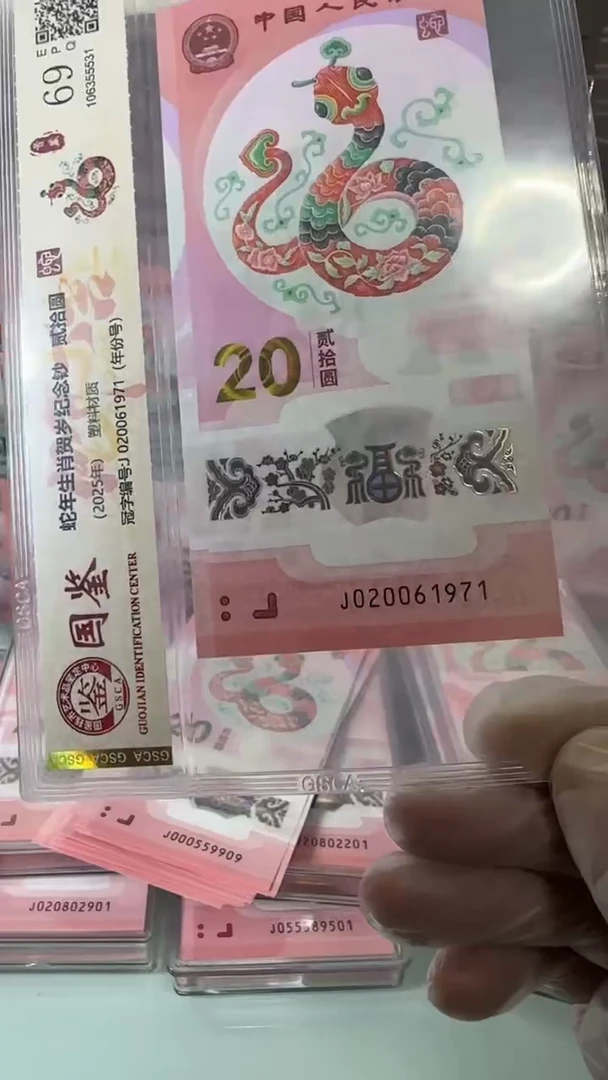 【闪购商品】塑料020061971-蛇钞单张！