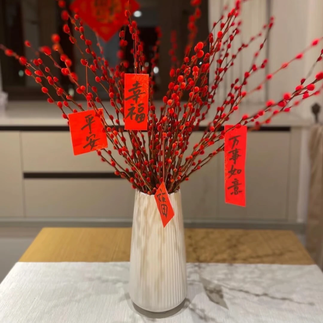 【黄梦宇】银柳- 全场鲜花任意满两单及以上送货上门